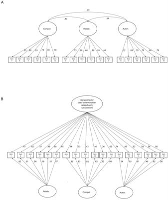 Capturing autonomy, competence, and relatedness at work: further examining and validating an English language version of the work-related basic need satisfaction scale